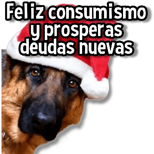 🎅🏻🎇Navidad Perritos🎄🐶 
 preview