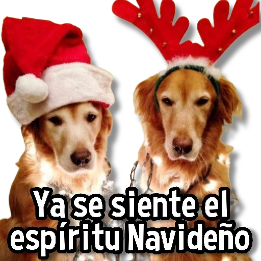 🎅🏻🎇Navidad Perritos🎄🐶 
 preview