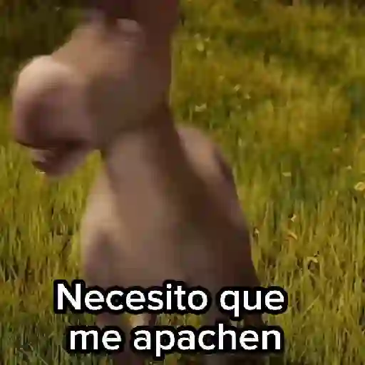 Burro 🫏 (Shrek) 
