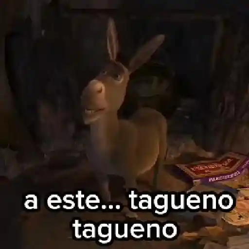 Burro 🫏 (Shrek) 
