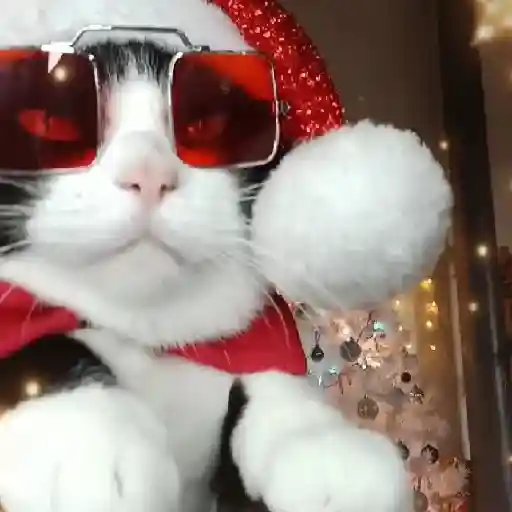 Navidad 🎄Random 
