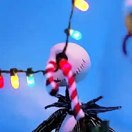 Navidad 🎄Random 
