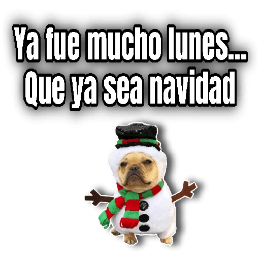 Navidad Stickers•🎄