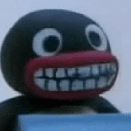 pingüino penguin 😎 
