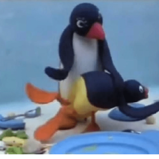 pingüino penguin 😎 
