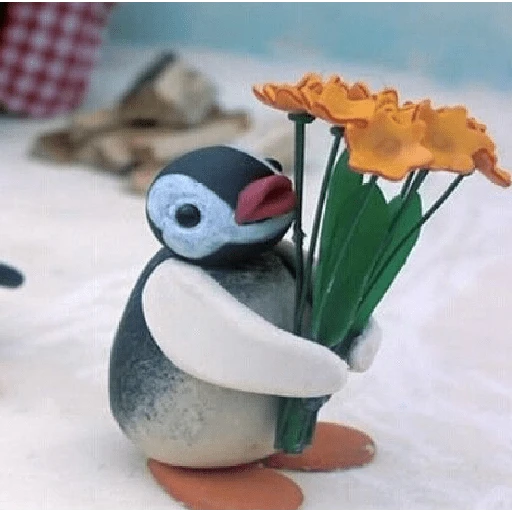 pingüino penguin 😎 
