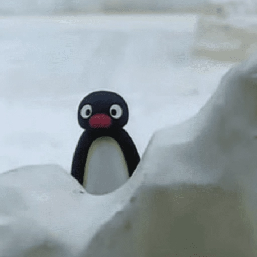pingüino penguin 😎 
