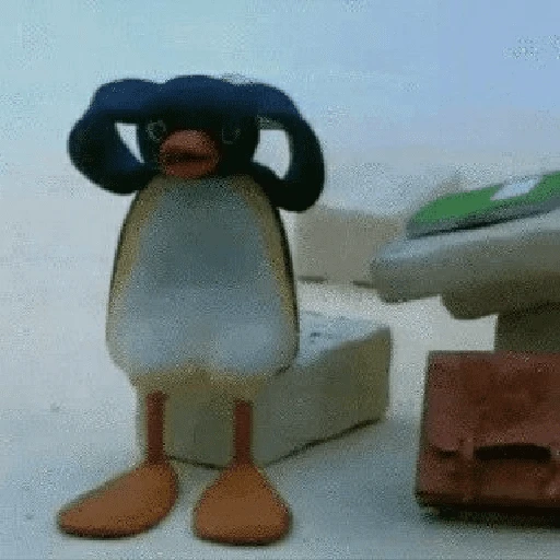 pingüino penguin 😎 
