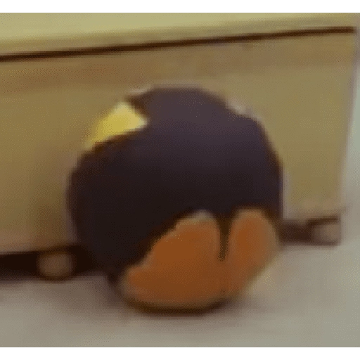 pingüino penguin 😎 
