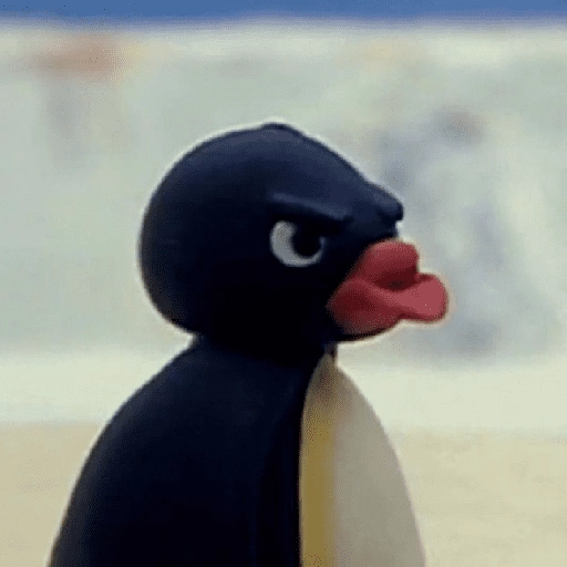 pingüino penguin 😎 
