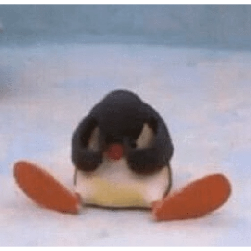 pingüino penguin 😎 
 preview