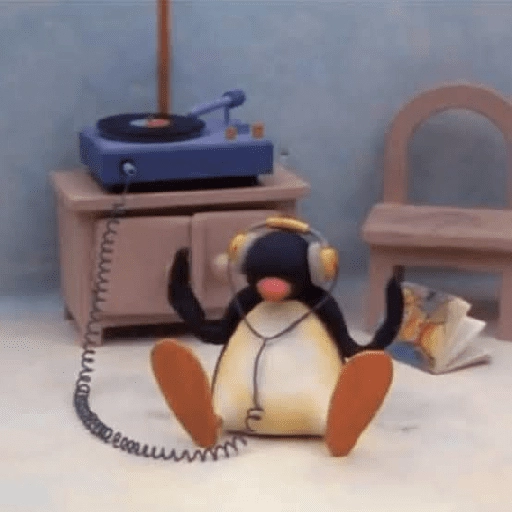 pingüino penguin 😎 

