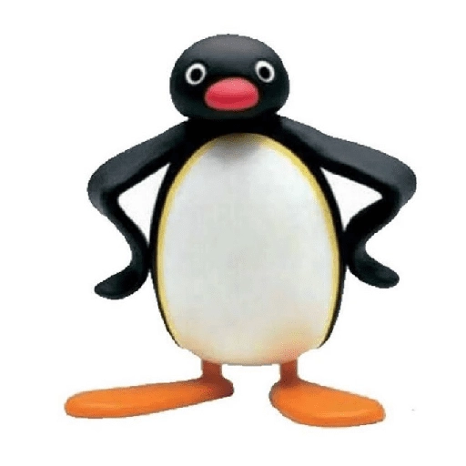pingüino penguin 😎 
