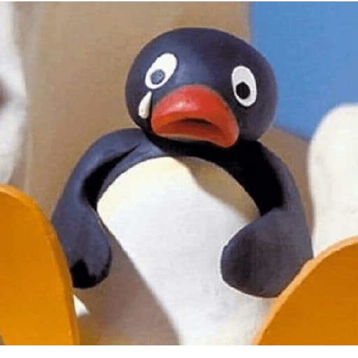 pingüino penguin 😎 
