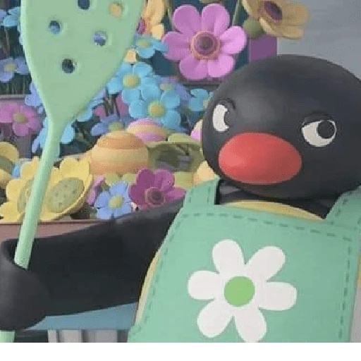 pingüino penguin 😎 
