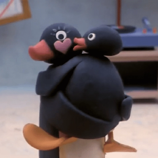 pingüino penguin 😎 
