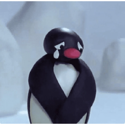 pingüino penguin 😎 
