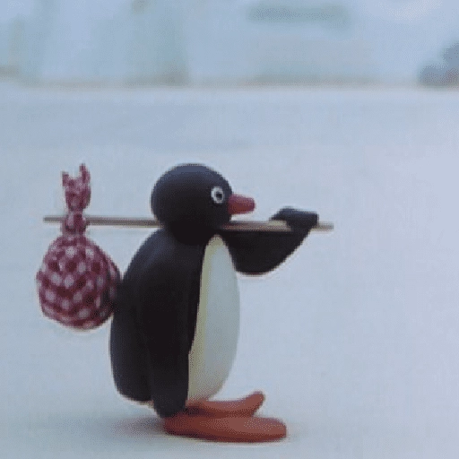pingüino penguin 😎 
