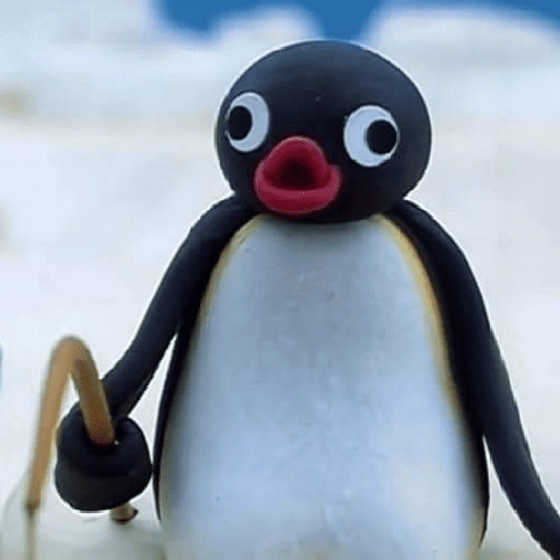 pingüino penguin 😎 
