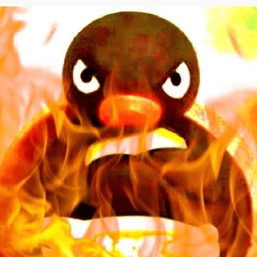 pingüino penguin 😎 
