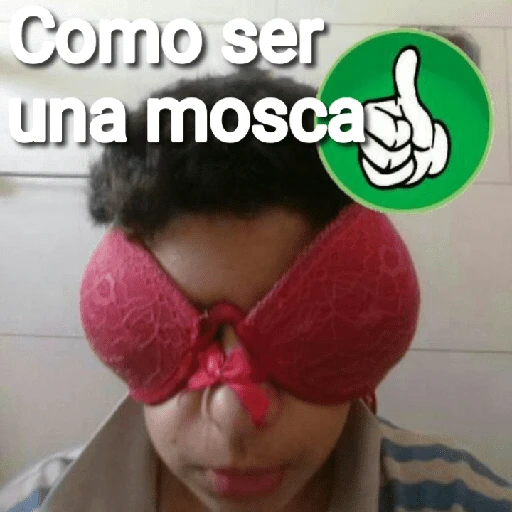 Mira, una mosca 🦟 bzz