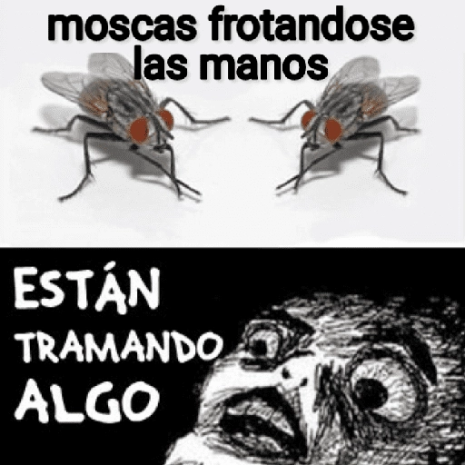 Mira, una mosca 🦟 bzz