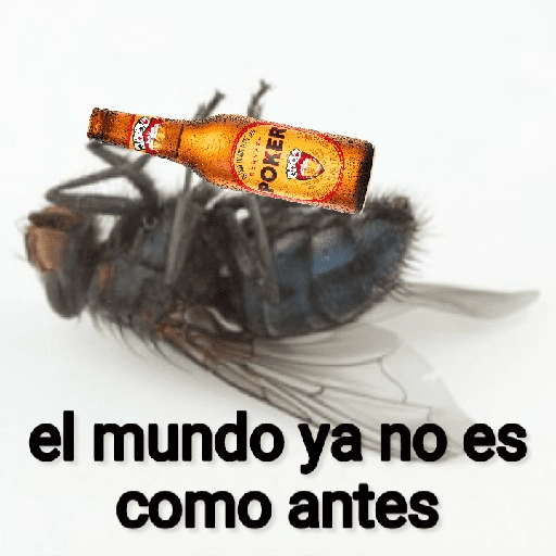 Mira, una mosca 🦟 bzz