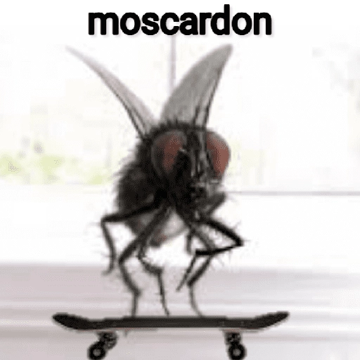 Mira, una mosca 🦟 bzz