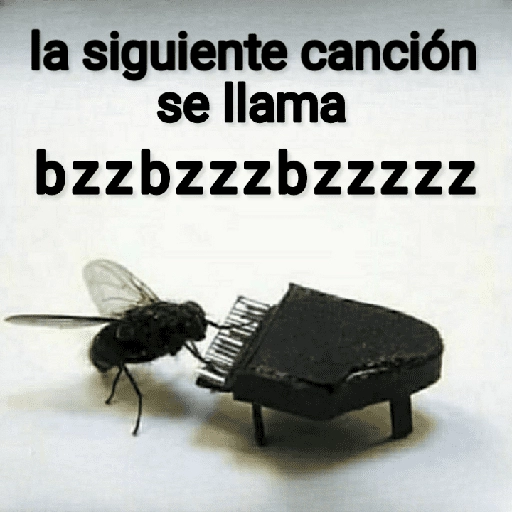 Mira, una mosca 🦟 bzz