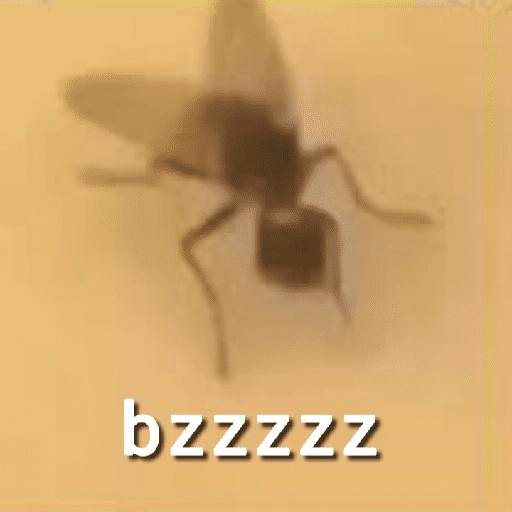 Mira, una mosca 🦟 bzz