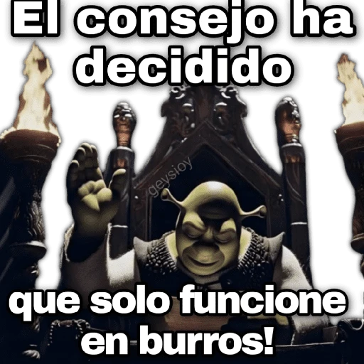 El consejo ha decidido 2️⃣🧑‍⚖️ 
