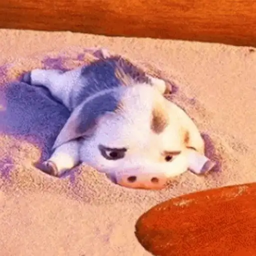 Moana GIFs 
