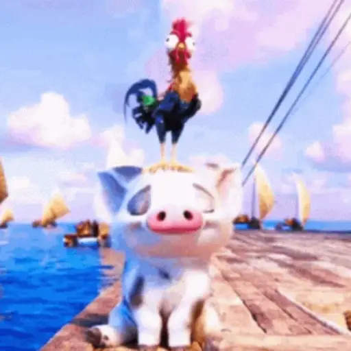 Moana GIFs 
