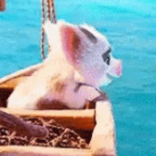 Moana GIFs 
