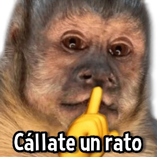 Changuitos Stickers🐒🍌 
