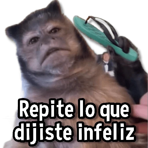 Changuitos Stickers🐒🍌 
