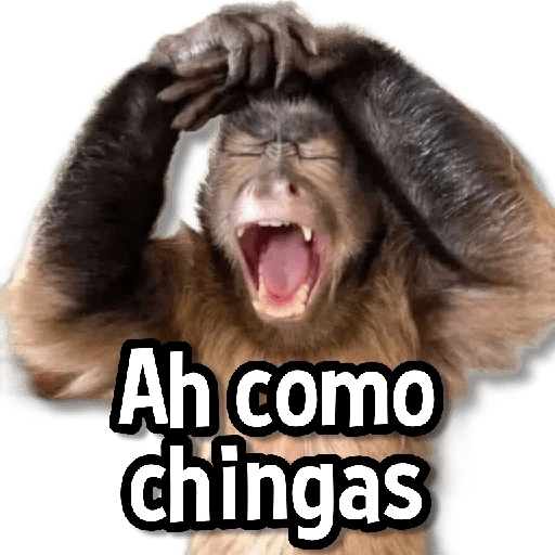 Changuitos Stickers🐒🍌 
