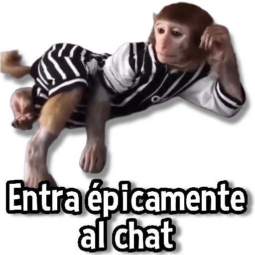 Changuitos Stickers🐒🍌 

