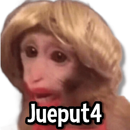 Changuitos Stickers🐒🍌 
