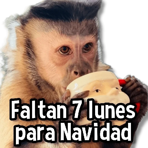 Changuitos Stickers🐒🍌 
