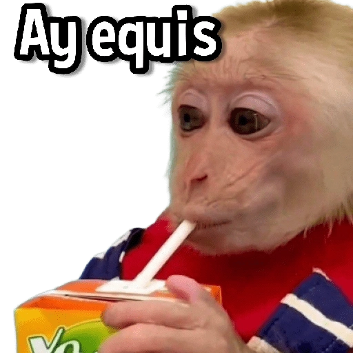 Changuitos Stickers🐒🍌 
