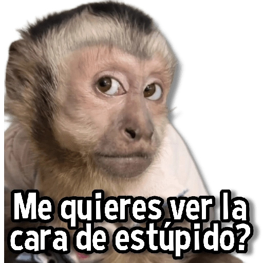 Changuitos Stickers🐒🍌 
