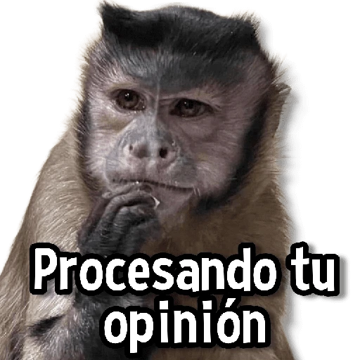 Changuitos Stickers🐒🍌 

