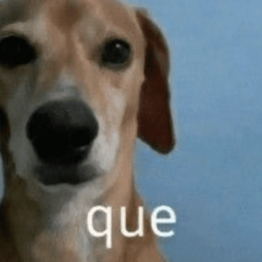 dogs engraçados  
 preview