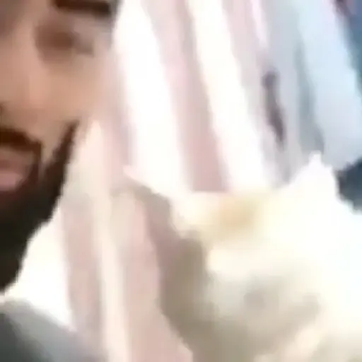 🌈🐱Gatos Divertidos Gif🐱🌈 
