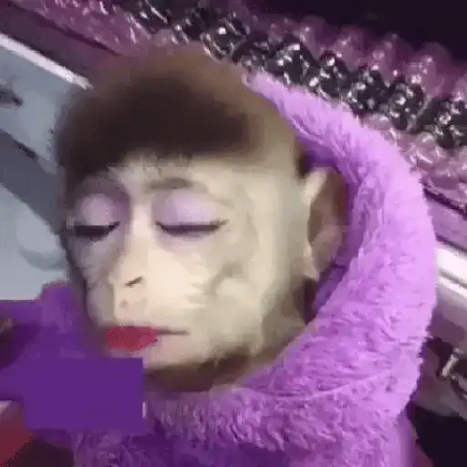 🐵•Moniiitos #4️⃣ 
 preview