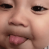 tray-icon
