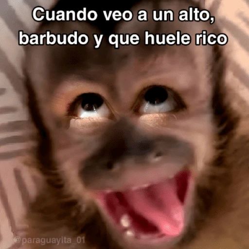 🙊😜🔥 Funny Monkey 🔥😜🙊 
