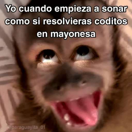 🙊😜🔥 Funny Monkey 🔥😜🙊 
