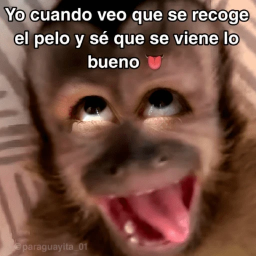 🙊😜🔥 Funny Monkey 🔥😜🙊 
